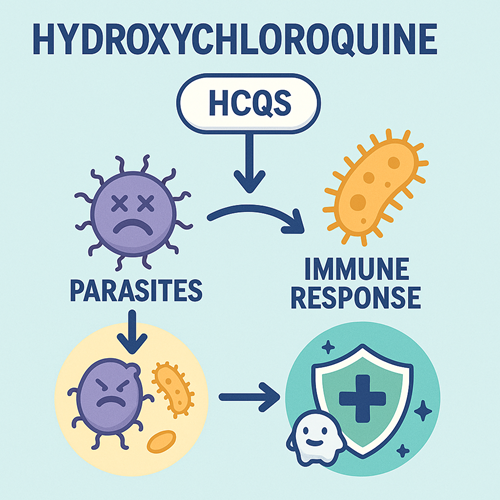 Visual diagram showing how Hydroxychloroquine acts on parasites and immune response