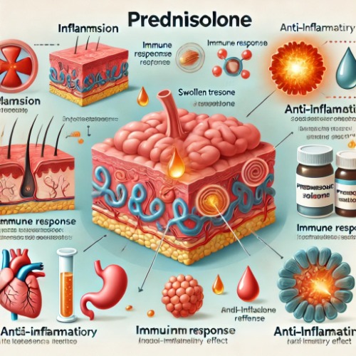 Medical diagram explaining inflammation and treatment process