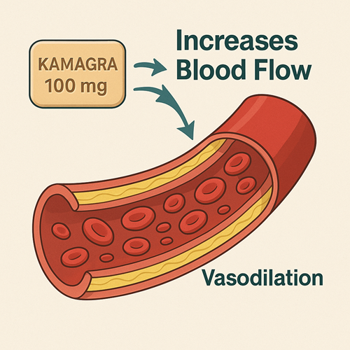 Visual diagram showing how Kamagra 100mg increases blood flow through vasodilation