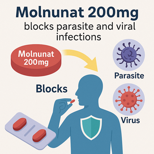 Visual diagram showing how Molnunat 200mg blocks parasite and viral infections