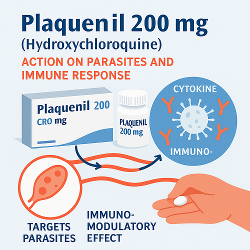 Visual diagram explaining the mechanism of Plaquenil 200mg – how Hydroxychloroquine acts on parasites and immune responses
