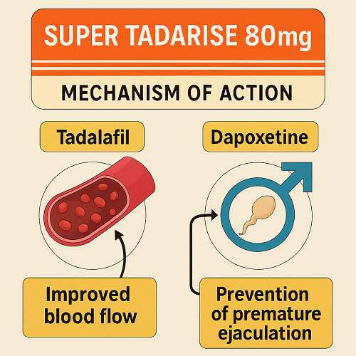 Visual diagram explaining the mechanism of Super Tadarise 80mg – effects of Tadalafil and Dapoxetine (improved blood flow, prevention of premature ejaculation)