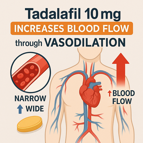 Visual diagram showing how Tadalafil 10mg increases blood flow through vasodilation