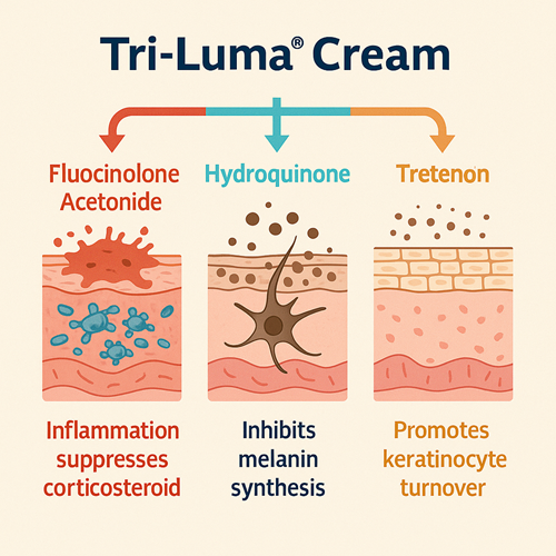 Medical diagram explaining the action of the key ingredients in Triluma Cream